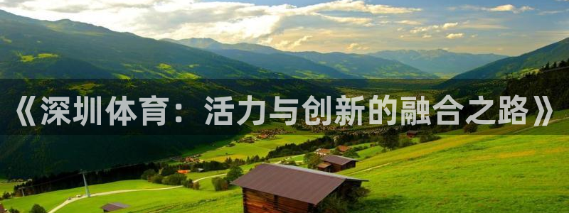 《深圳体育：活力与创新的融合之路》