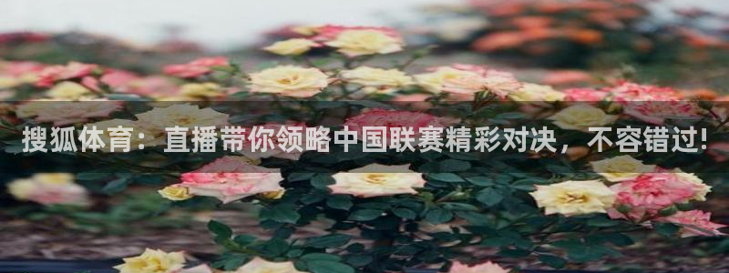搜狐体育：直播带你领略中国联赛精彩对决，不容错过!