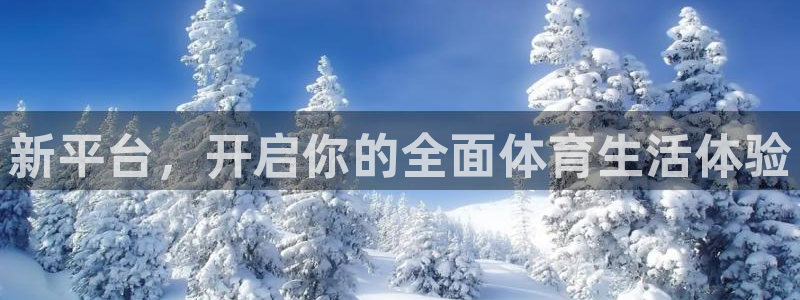 新平台，开启你的全面体育生活体验
