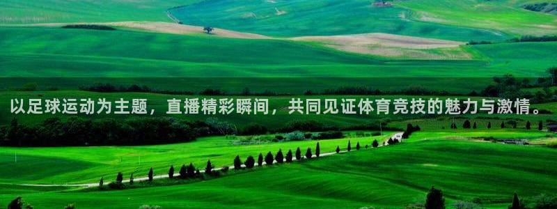 以足球运动为主题，直播精彩瞬间，共同见证体育竞技的魅力与激情。