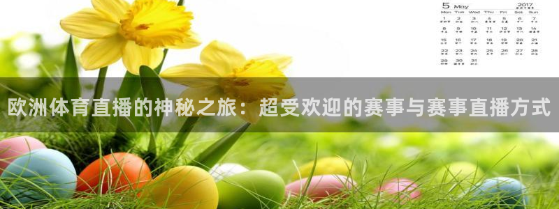 欧洲体育直播的神秘之旅：超受欢迎的赛事与赛事直播方式