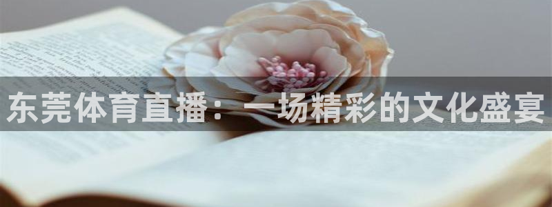 东莞体育直播：一场精彩的文化盛宴